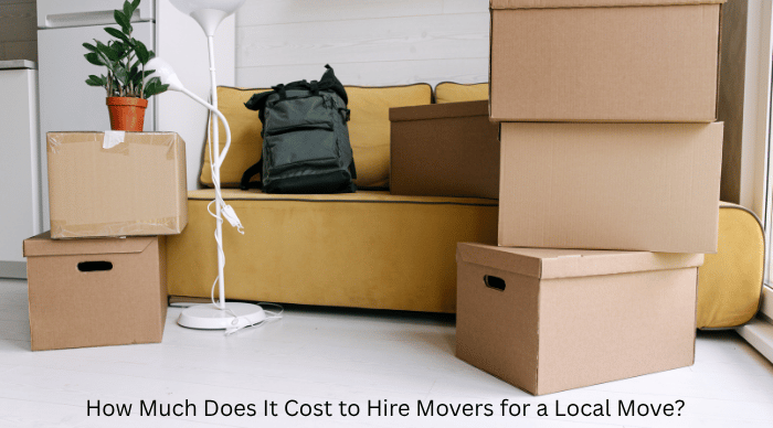 How Much Does It Cost to Hire Movers for a Local Move