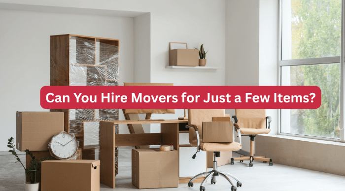 Can You Hire Movers for Just a Few Items